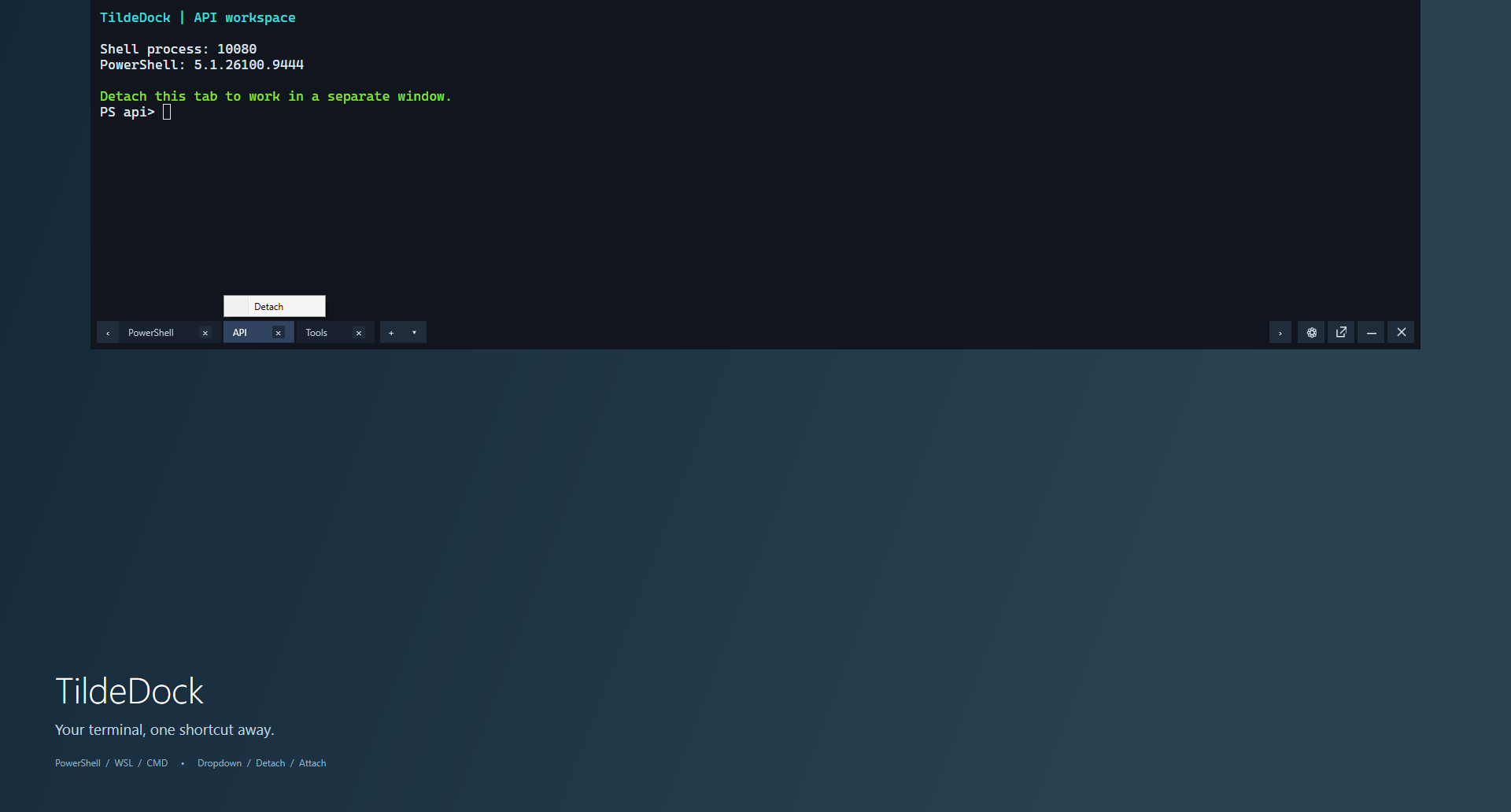 TildeDock 1.0.5: dropdown terminal with tabs and the Detach menu
